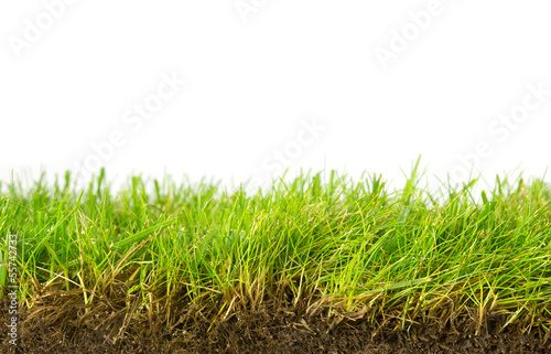 Photo: Gras Rollrasen Gras Rollrasen