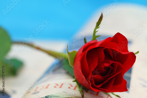 Photo: Red rose on open book on blue background Red rose on open book on blue background
