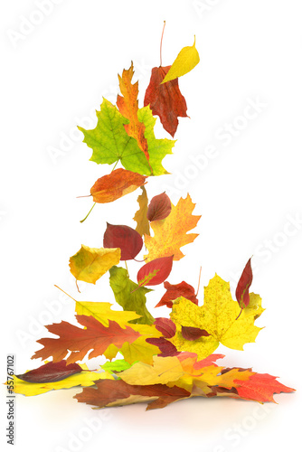 Photo: Herbst 17 Herbst 17