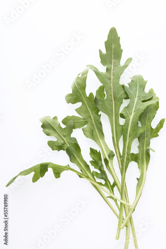 Photo: Rucola, Nahaufnahme Rucola, Nahaufnahme