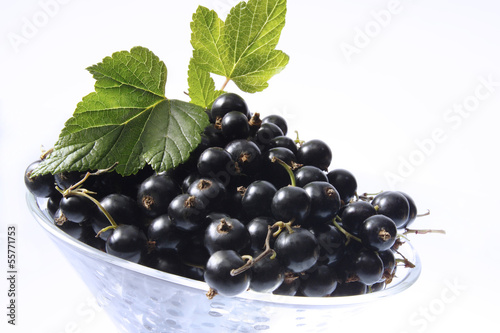 Photo: Schwarze Johannisbeeren in Schüssel, Nahaufnahme Schwarze Johannisbeeren in Schüssel, Nahaufnahme