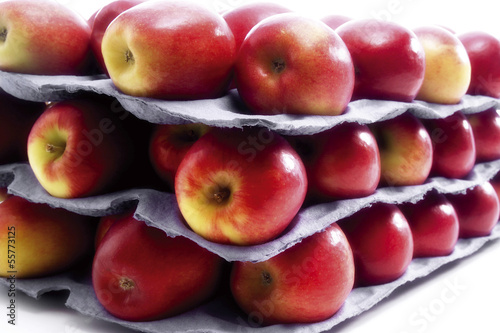 Photo: Frische Äpfel der Sorte Jazz Frische Äpfel der Sorte Jazz