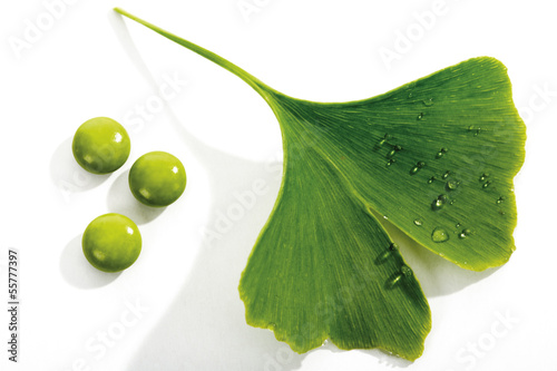 Photo: Ginko Blätter und Tabletten Ginko Blätter und Tabletten