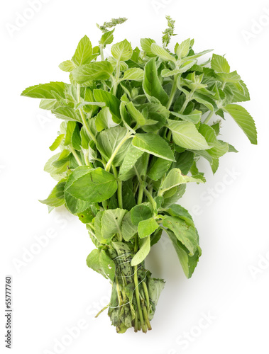 Photo: Bunch of mint Bunch of mint