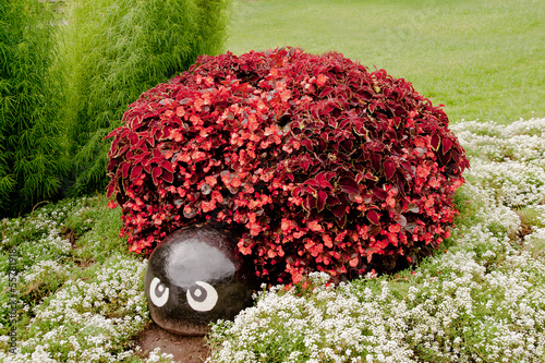 Photo: Tortoise or turtle made from begonias Tortoise or turtle made from begonias
