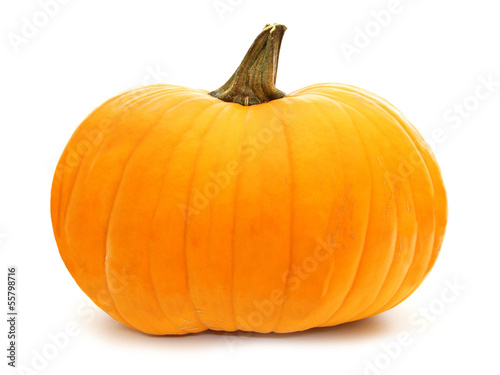 Photo: Single pumpkin isolated on white Single pumpkin isolated on white