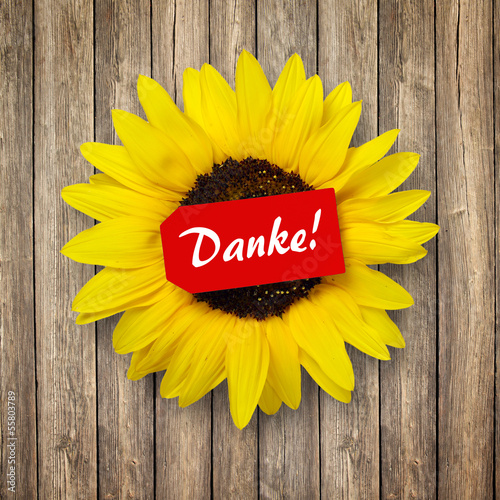 Photo: Sonnenblume mit Schild Danke Sonnenblume mit Schild Danke