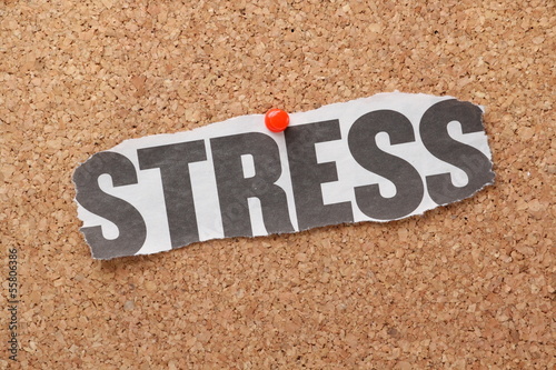 Photo: Stress Newspaper Clipping on a cork notice board Stress Newspaper Clipping on a cork notice board