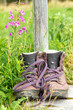 Wanderzeit