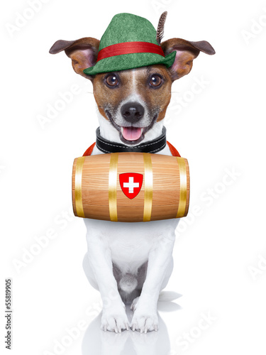 Photo: rescue dog rescue dog