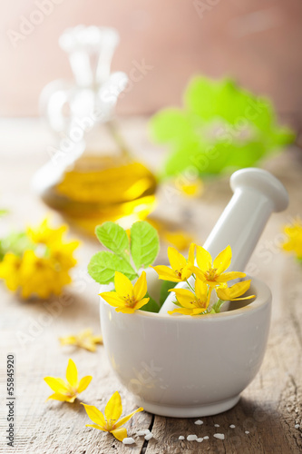 Photo: mortar with flowers and herbs mortar with flowers and herbs