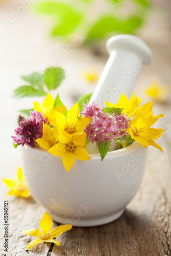 Photo: mortar with flowers and herbs mortar with flowers and herbs