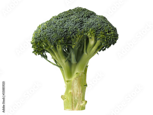Photo: Broccoli Isolated on White Broccoli Isolated on White
