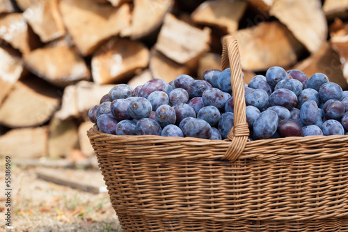 Photo: Plums in a basket Plums in a basket
