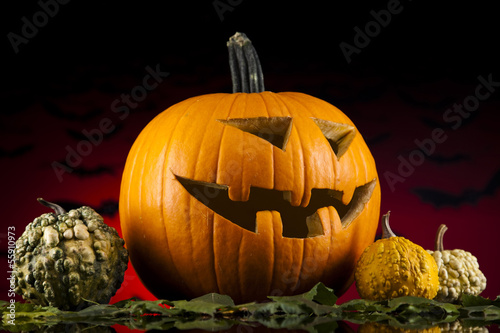 Photo: Halloween pumpkin in the Grass Bats Halloween pumpkin in the Grass Bats