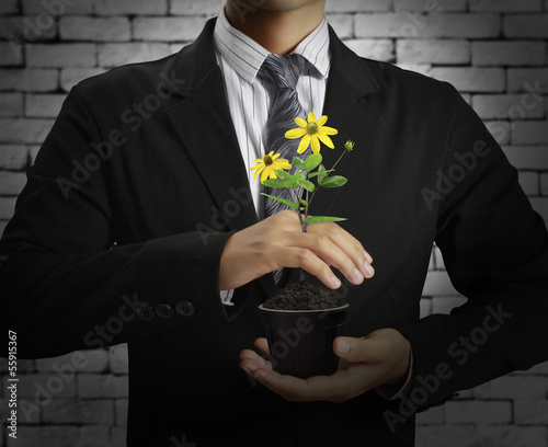 Photo: green plant in hand green plant in hand