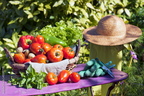 Photo: Some vegetables in a basket Some vegetables in a basket