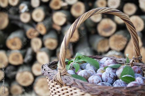 Photo: Plums in a basket Plums in a basket