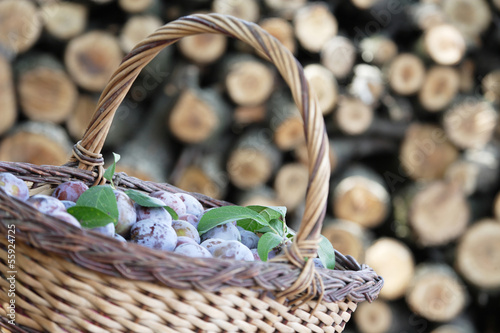 Photo: Plums in a basket Plums in a basket