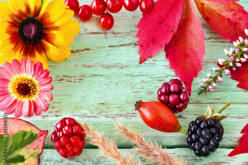 Photo: Herbst - Dekoration Herbst - Dekoration
