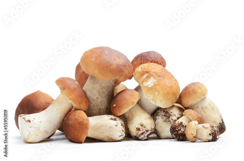 Photo: The boletus edulis isolated on white The boletus edulis isolated on white