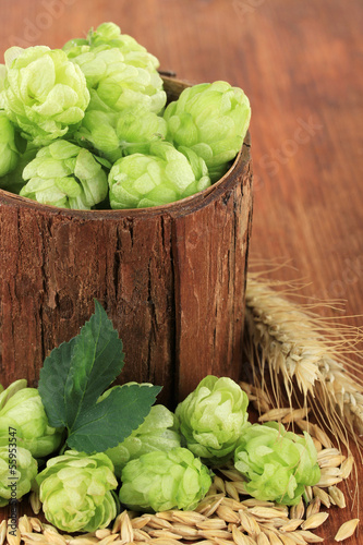 Photo: Fresh green hops and barley, on wooden background Fresh green hops and barley, on wooden background