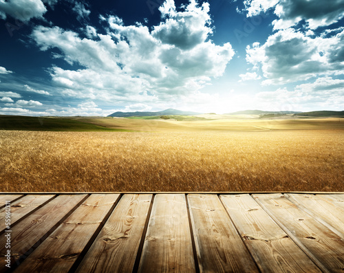 Photo: wood platform and barley hills Tuscany, Italy wood platform and barley hills Tuscany, Italy