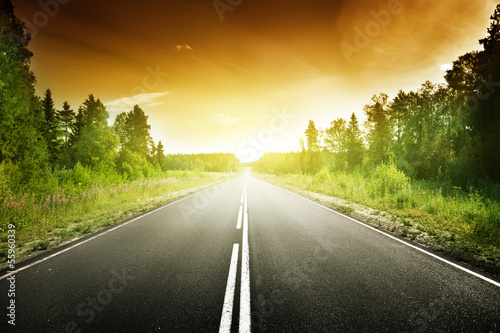 Photo: road in deep forest road in deep forest