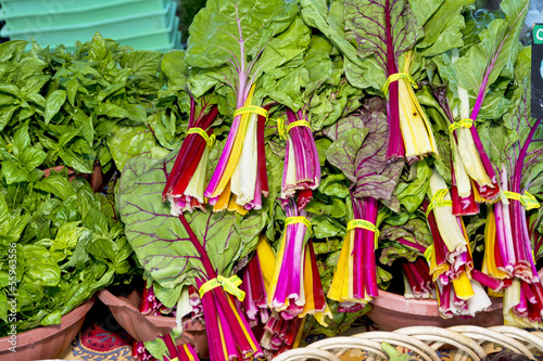 Photo: Collard Greens freshly picked at a local market Collard Greens freshly picked at a local market