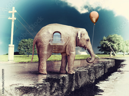 Photo: elephant -house on the road elephant -house on the road