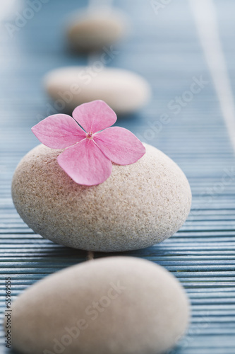 Photo: Zen stones and pink flowers Zen stones and pink flowers