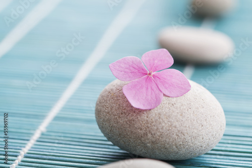 Photo: Zen stones and pink flowers Zen stones and pink flowers