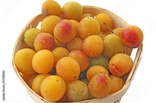 Photo: Des mirabelles Des mirabelles