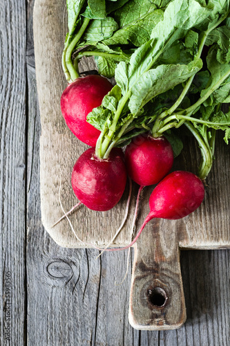 Photo: Radish Radish
