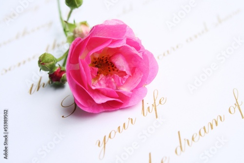 Photo: Love letter Love letter
