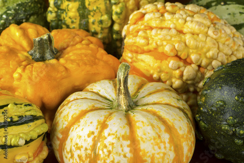 Photo: Fall Squash or Gourds in Closup Fall Squash or Gourds in Closup