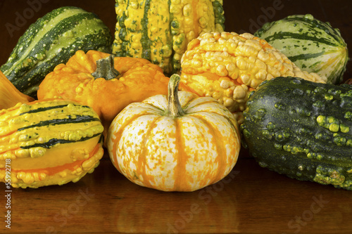 Photo: Fall Squash or Gourds Closeup Fall Squash or Gourds Closeup