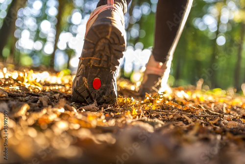 Photo: Hiking concept Hiking concept