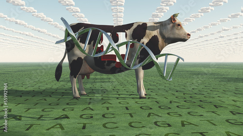 Illustration: GMO Business GMO Business