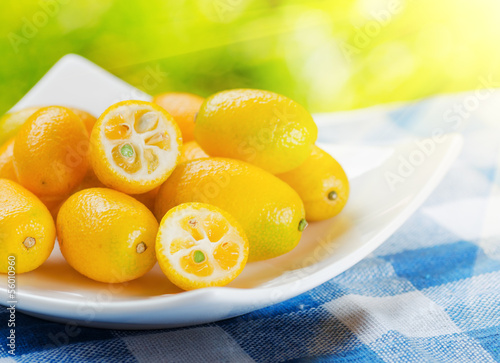 Photo: kumquat kumquat