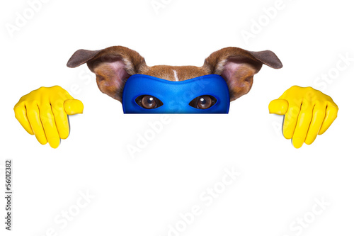 Photo: super hero dog super hero dog