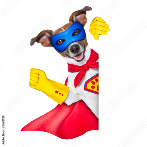 Photo: super hero dog super hero dog