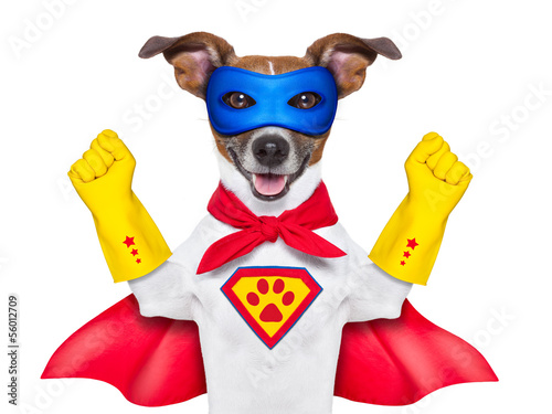Photo: super hero dog super hero dog