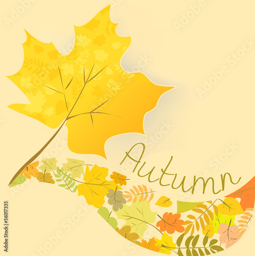Vector: abstract background with autumn maple leaf abstract background with autumn maple leaf