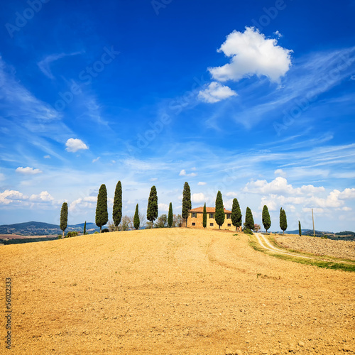 Photo: Tuscany, farmland, cypress trees and white road. Siena, Val d Or Tuscany, farmland, cypress trees and white road. Siena, Val d Or
