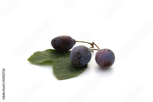 Photo: prunes prunes