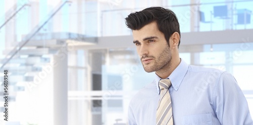 Photo: Handsome young businessman in office Handsome young businessman in office