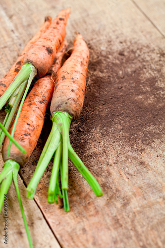 Photo: fresh carrots fresh carrots