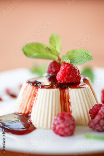 Photo: Fruit Panna Cotta Fruit Panna Cotta