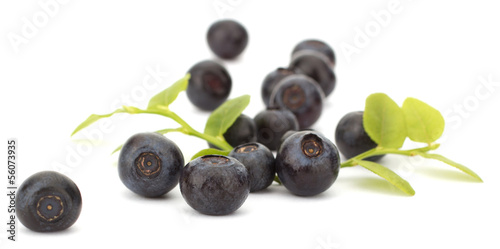 Photo: Fresh blueberries isolated on white background Fresh blueberries isolated on white background